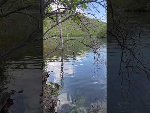 #goiás #lugareslindos #pescaria #paisagemnatural #turismo #naturezasurpreendente #minaçu