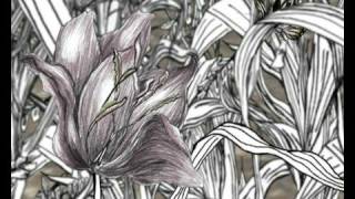 insect & human animation