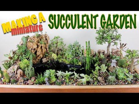 , title : 'Making a miniature garden waterfall with pond, succulent cactus plants, succulent garden arrangement'