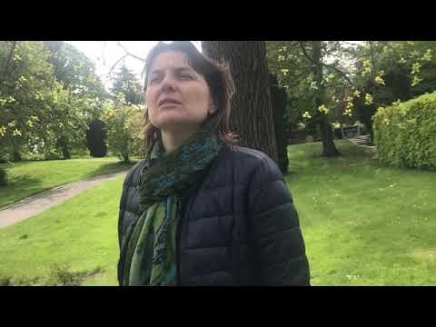 1:1 kunde interview om sorg