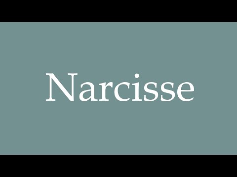 How to Pronounce ''Narcisse'' Correctly in French
