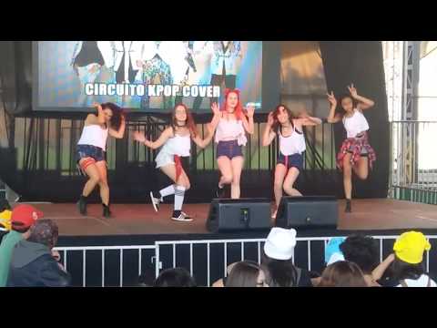 불독(BULLDOK) 어때요(Why Not) - dance cover by BeastMode