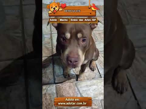 Vídeo de HERCULES