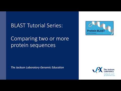 BLAST Tutorial Series:  Comparing two or more protein sequences