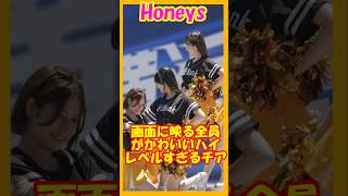登場人物全員かわいい♥そして踊れる♥ハニーズ　　ディアーナチア交流　#チア   　#チアダンス   　#チアリーダー   　#shorts
