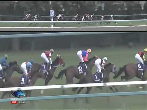 2014.06.29 Takarazuka Kinen - Gold Ship