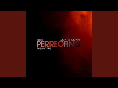 Bien Pegado (feat. Dj Zleyder & Dj Chinex) (Mix)