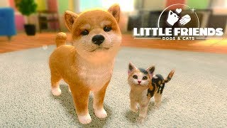 Little Friends: Dogs & Cats - Pet Care Kids Games - Episode 1 - Nintendo Switch Gameplay