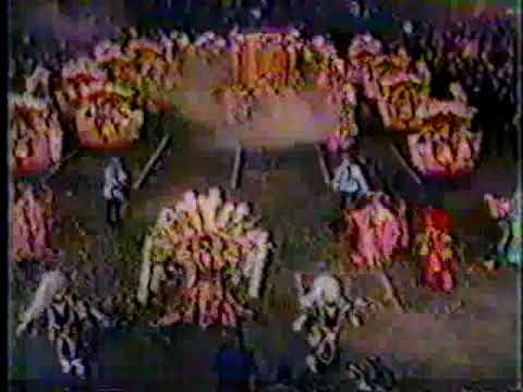 1983 Japanese Cherry Blossom Fantasy  (Golden Crown Fancy Brigade)