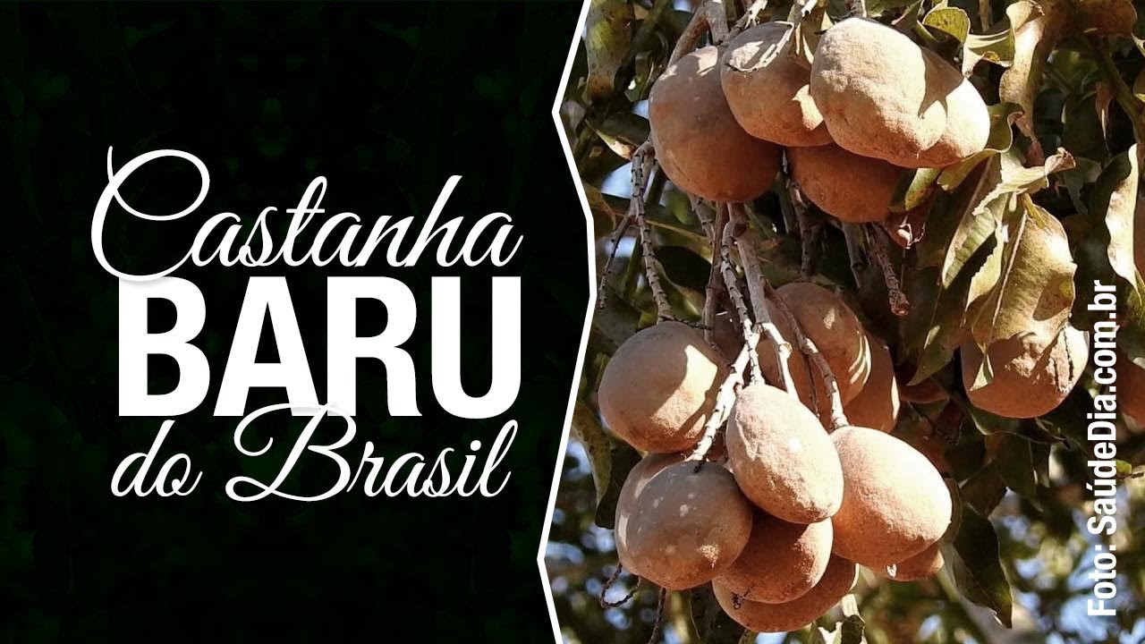 Baru, uma castanha rica em nutrientes e .. viagra natural?