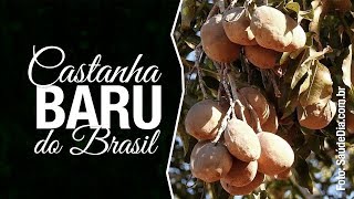 Miniatura do vídeo