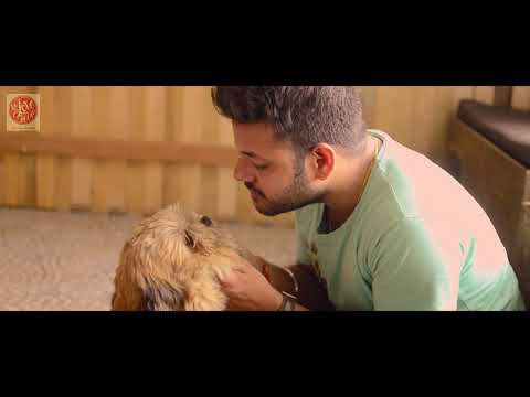 Sourabh Nath Sarma The Love room Cafe