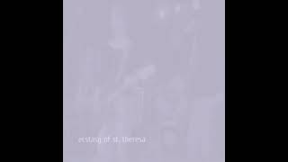 The Ecstasy Of Saint Theresa - COMPILATION [Unofficial] (2021)