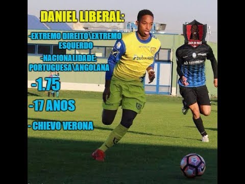 Daniel Liberal Skills&Goals 2016/2018
