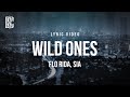 Flo Rida Feat Sia Wild Ones Lyrics