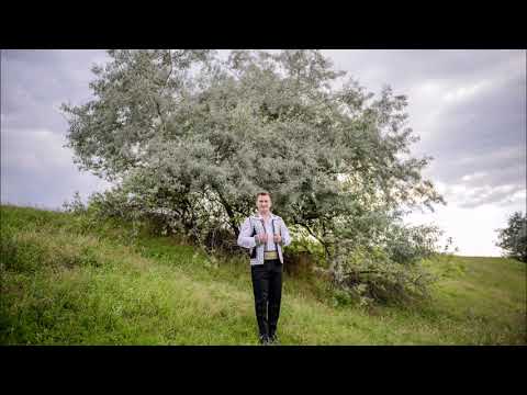 Marian Cozma - Nasu si cu finu'