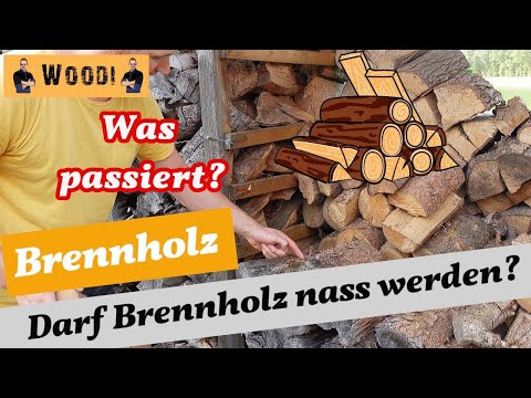 Brennholz - Darf Brennholz nass werden? Richtige Lagerung - Feuchtigkeit - Woodi