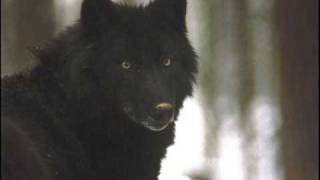 In Extremo-Die Gier.wmv