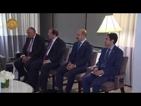 الرئيس السيسى يلتقى الرئيس الفلسطينى والسيراليونى لبحث العلاقات الثنائية