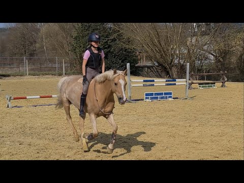 Malu (11) und Duebaree - mit Halsring am 25.03.2021