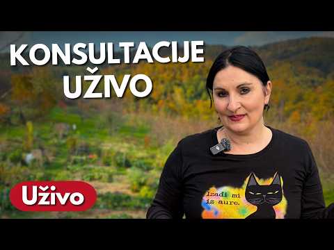 Odgovaram Na Vaša Pitanja - Konsultacije Uživo