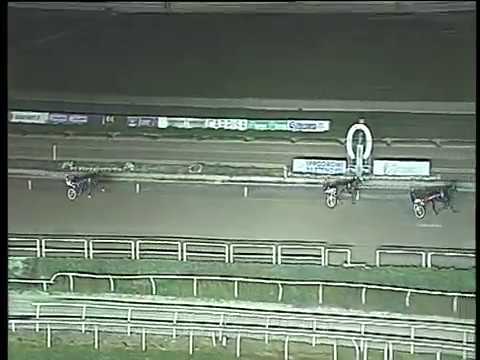 Trotto 05/11/2017 - prova di qualifica