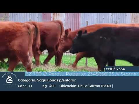 Lote VQ GENERALES PARA ENTORAR