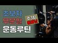 [머슬맥TV] 초보자 무분할 운동루틴(주3회 둘째날)