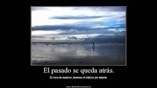 Tengo muchas alas - MANA  (Amar es Combatir)