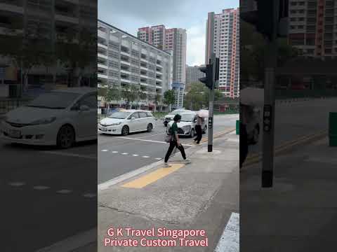 Singapore Local Life: Real Street Scene and Daily City Walk