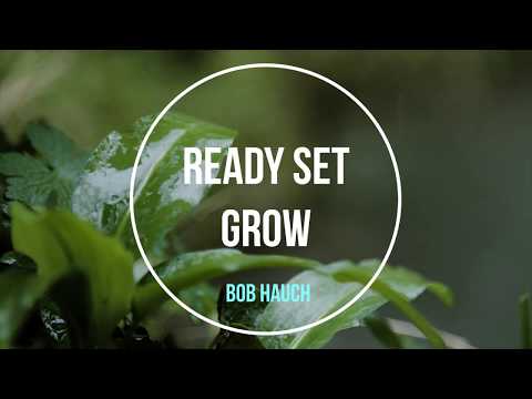 Ready Set Grow