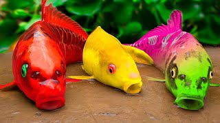 Top 5 Best Videos RAINBOW CARP 💕  Hunting Eels, Crabs, Frogs and Lego | Stop Motion ASMR CoCo