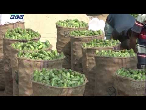 ভালো ফলনের পরও ক্ষতির মুখে সবজি চাষীরা || ETV News