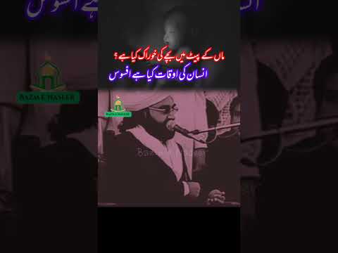 insan ki aukat by peer naseer ud deen #peernaseerudinnaseer #GolraSharif #shorts #ytshorts #fypシ