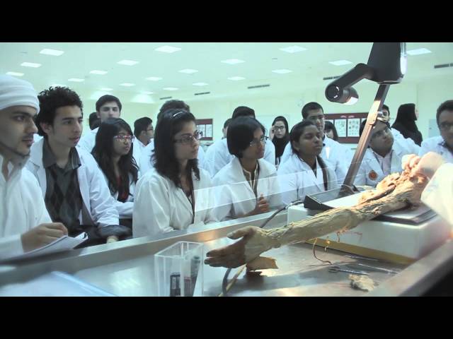 RAK Medical & Health Sciences University College of Dental Sciences видео №1