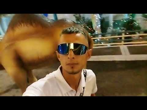 Los reyes magos PESEBRE HUMANO huila garzon #2025 #2026