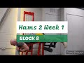 DVTV: Block 8 Hams 2 Wk 1