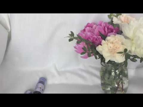 Summer Beauty Essentials