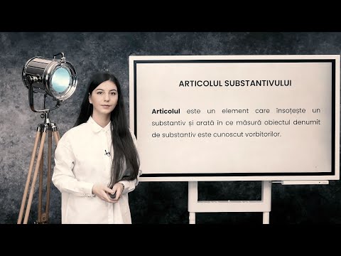 Articolul substantivului - Română - Clasa VI-a