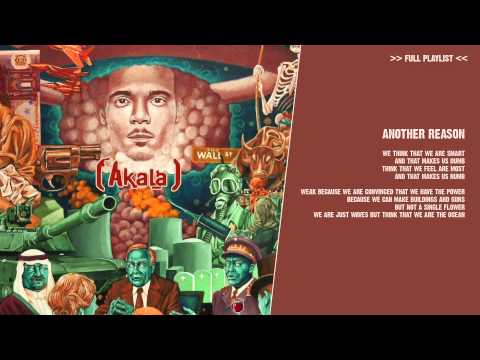 Akala - Another Reason - ( lyric video )