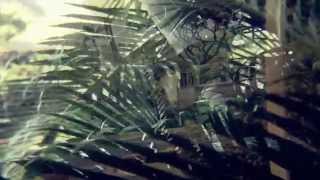 Broken Social Scene - Passport Radio