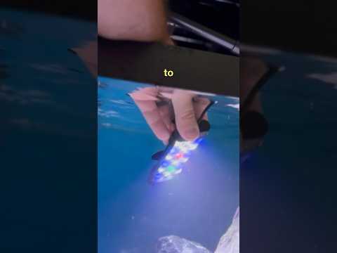 Hygger Submersible LED Light(HG135) #fishtank #fishkeeping #aquarium #light #fyp