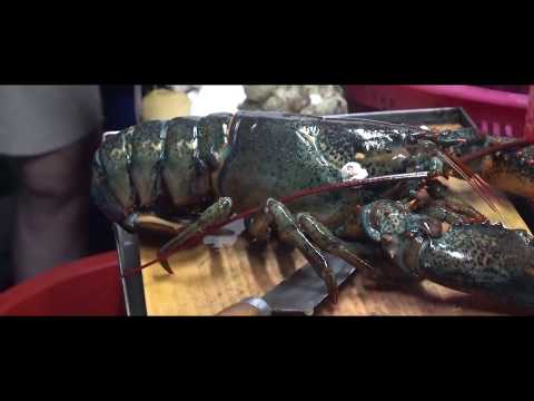 😉😉😉Korean street snacks -🦞🦞🦞 Lobster, Super fat meat