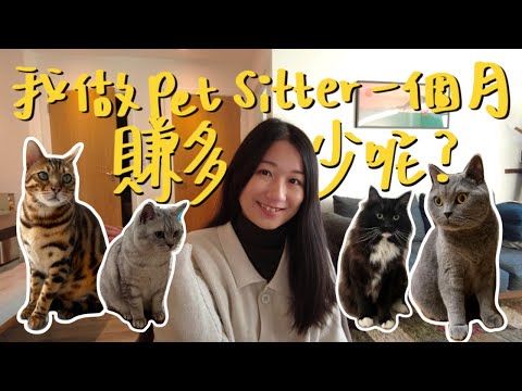 當貓保姆一個月，到底可以賺多少？Pet sitting真實收入細節大公開【英國貓咪寵物保姆】#2025英國副業收入