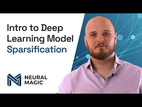 Intro to Deep Learning Model Sparsification
