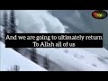 Islamic WhatsApp Status In English Be Patient Mufti Menk