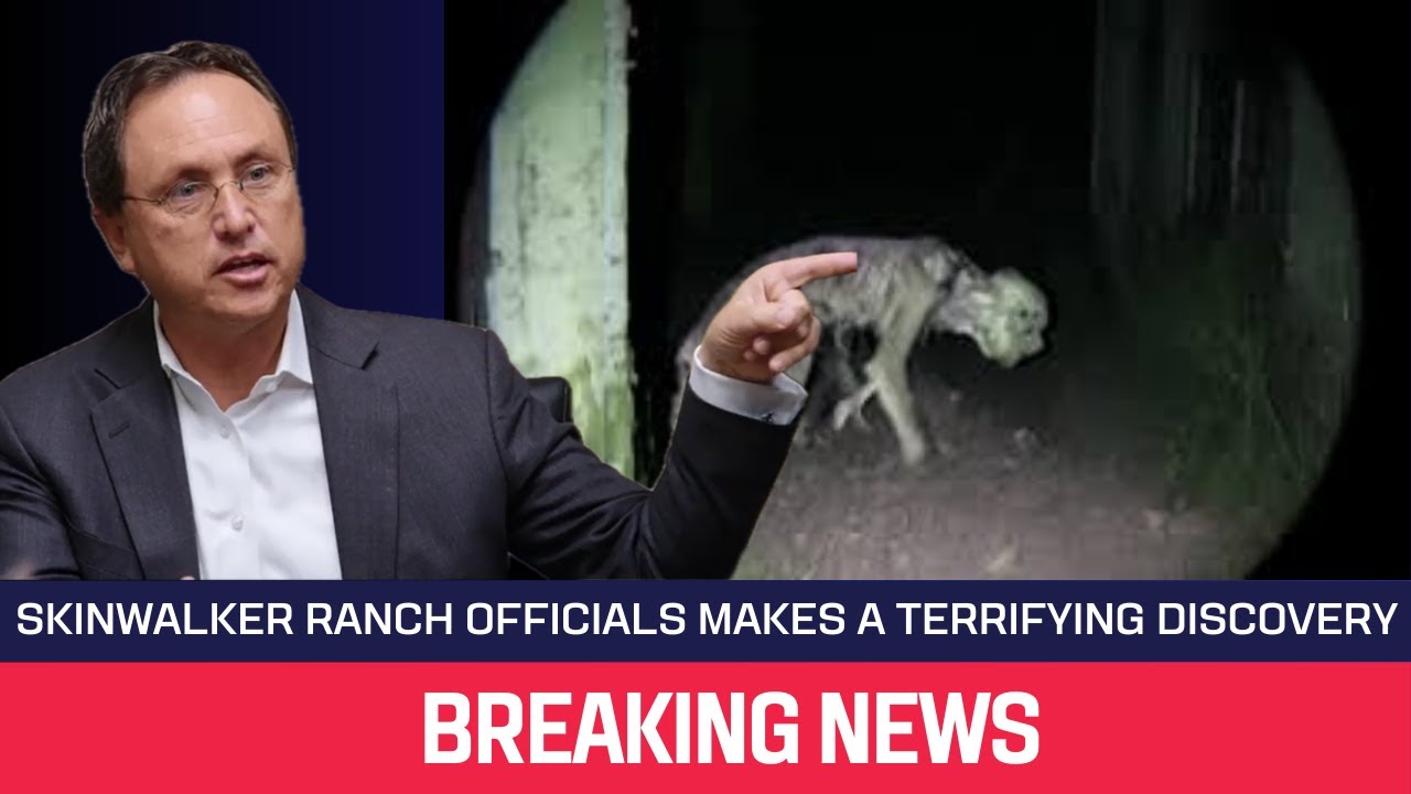 YouTube Thumbnail Downloader FULL HQ IMAGE