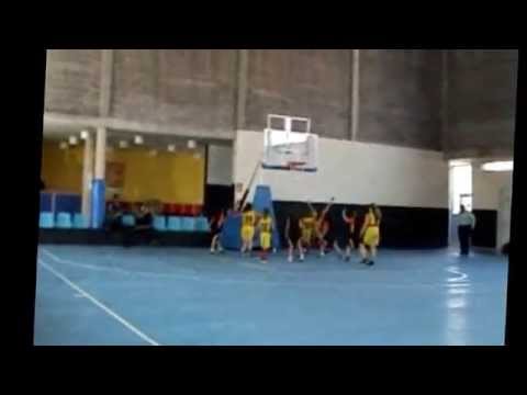 Premini femení 2013-14