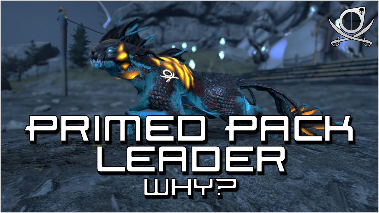 (Warframe) Primed Pack Leader - Why?