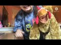 Sesame Street School Supplies E E